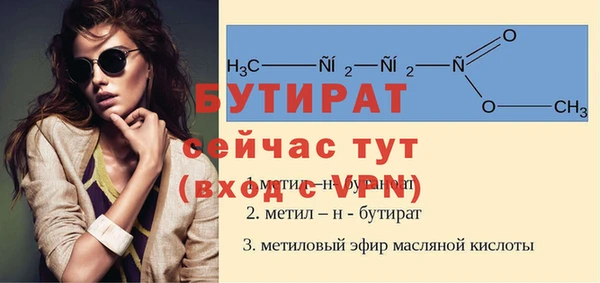 гидра Богородск