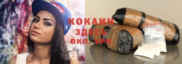 гидра Богородск