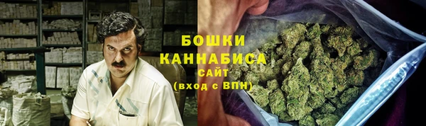 дурь Белокуриха